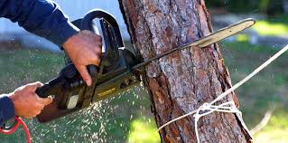 Lawn Watering Services in Taylorsville, UT